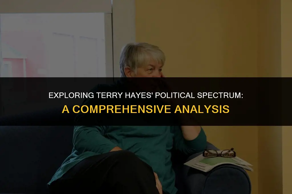 what are terry hayes political views