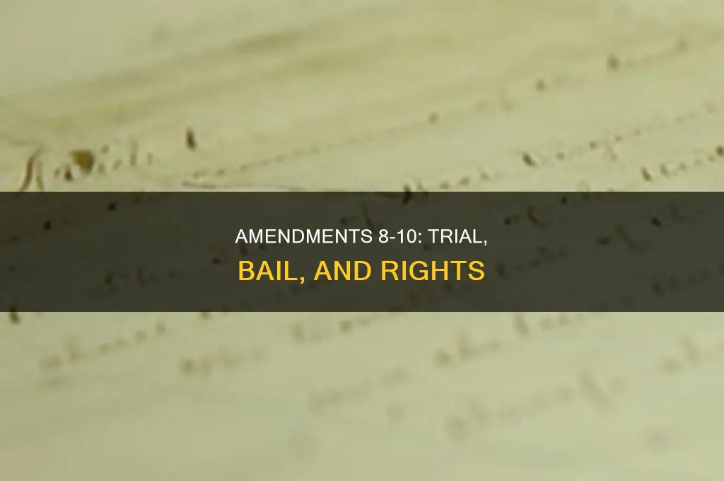 what are the 10 amendments in order