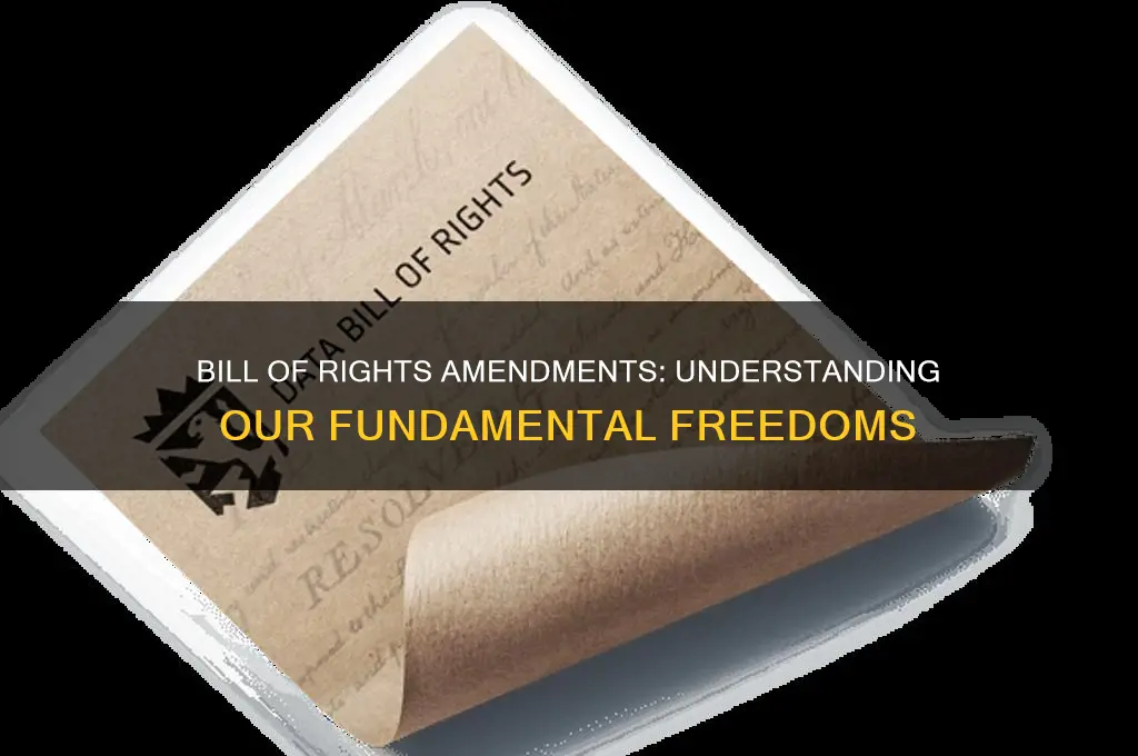 what are the 10 bill of rights amendments