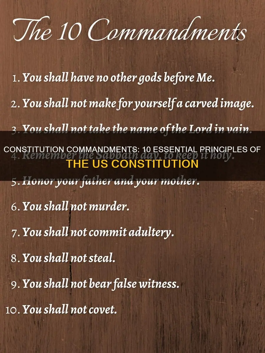 what are the 10 commandments of the constitution