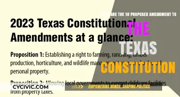 Texas Constitution: Proposed Amendments Explained