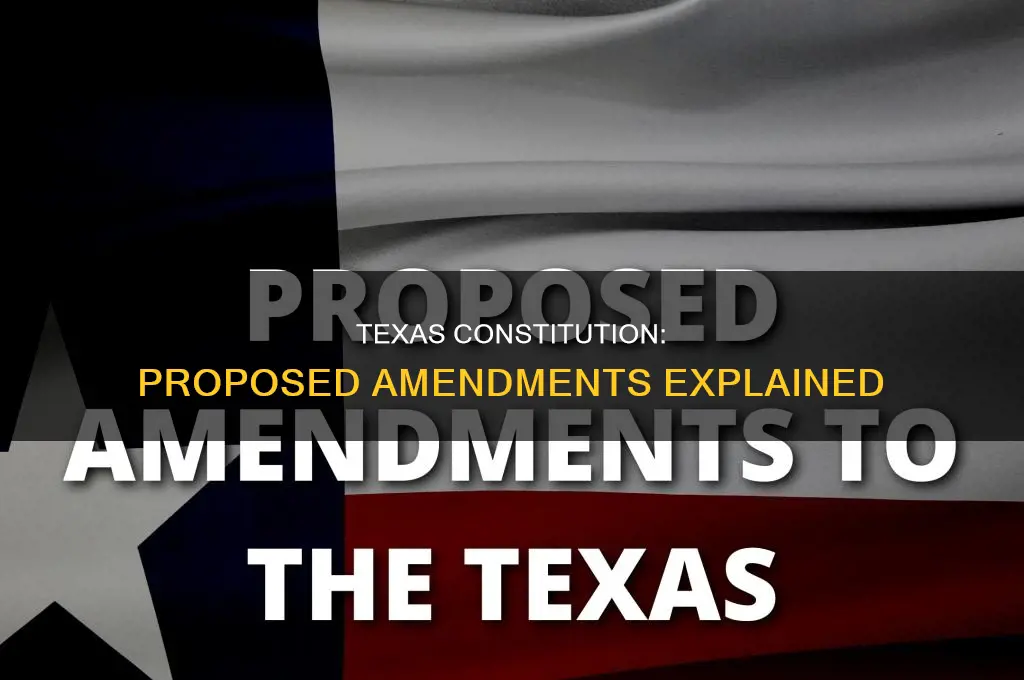 what are the 10 proposed amendment to the texas constitution