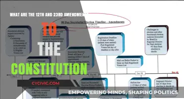 Understanding the Amendments: Voting Rights and Electoral College