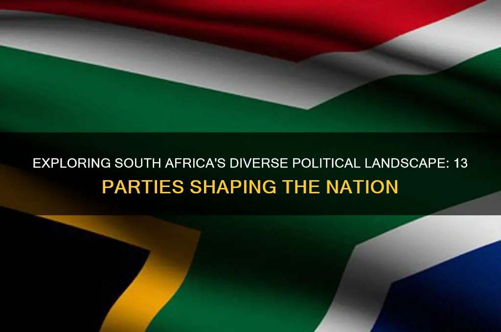 what are the 13 political parties in south africa