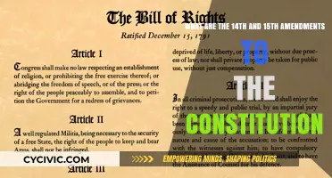 Understanding the Amendments: Freedom and Equality