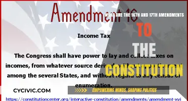 Understanding the Amendments: Income Tax and Direct Election