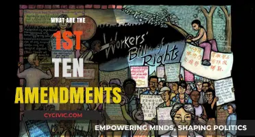 Amendments: Our Founding Fathers' Vision