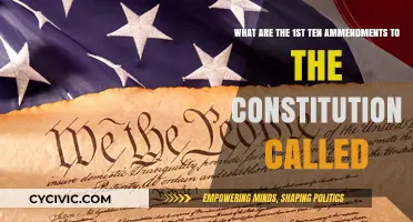 The First Ten Amendments: The Bill of Rights