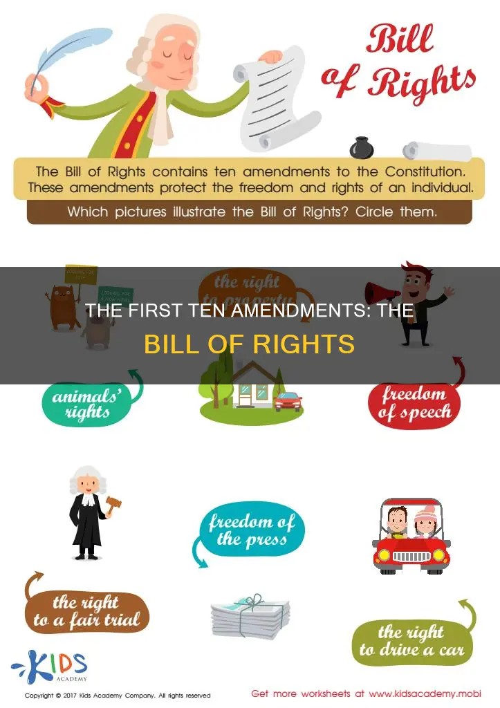 what are the 1st ten ammendments to the constitution called