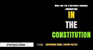 Jurisdictional Powers: Criminal Law and the Constitution