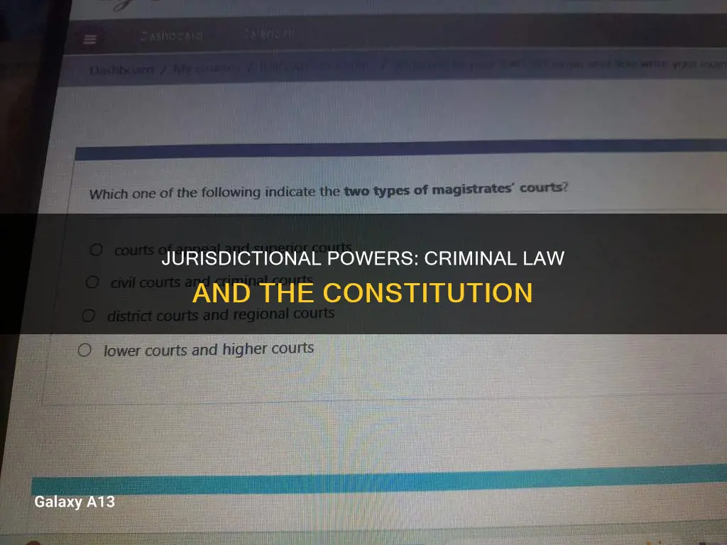 what are the 2 different criminal jurisdiction in the constitution