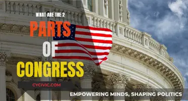 The Twofold Nature of the US Congress