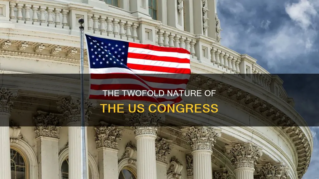 what are the 2 parts of congress