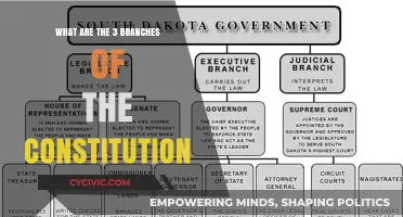 Understanding the Constitution: Three Branches, One Nation