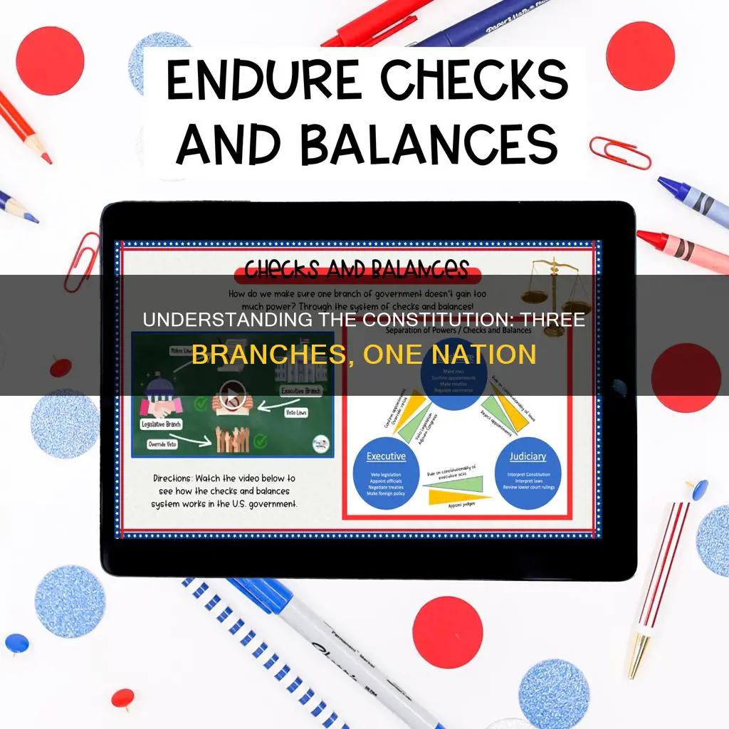 what are the 3 branches of the constitution