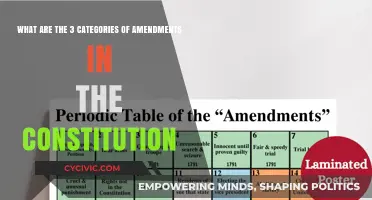Amendments: Constitution's Three Key Categories