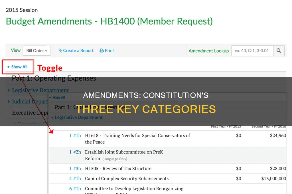 what are the 3 categories of amendments in the constitution