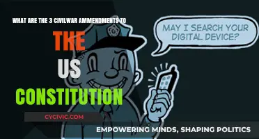 Civil War Amendments: Freedom, Equality, and Citizenship