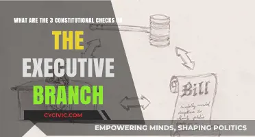 Executive Branch: Constitutional Checks and Balances