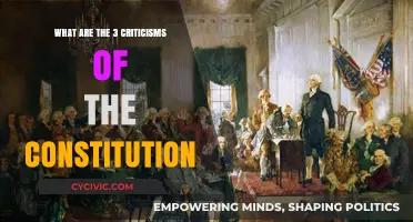 Critiquing the Constitution: Three Key Flaws