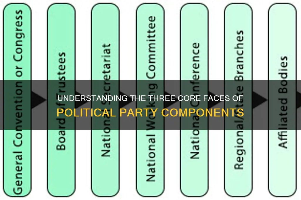 what are the 3 faces components of a political party