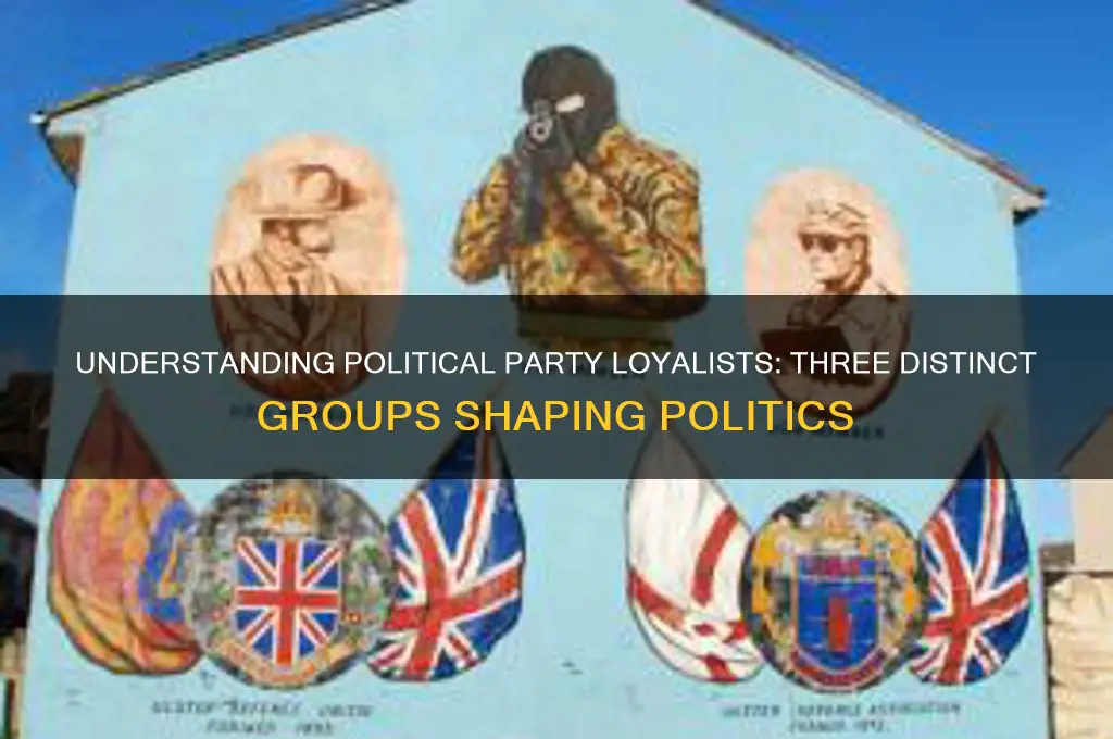 what are the 3 groups of political party loyalists