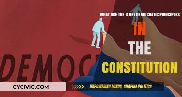 Key Democratic Principles: The Constitution's Core Ideals