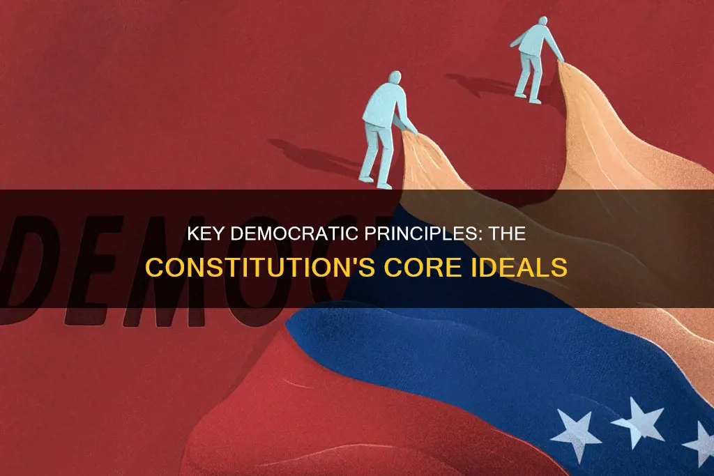 what are the 3 key democratic principles in the constitution