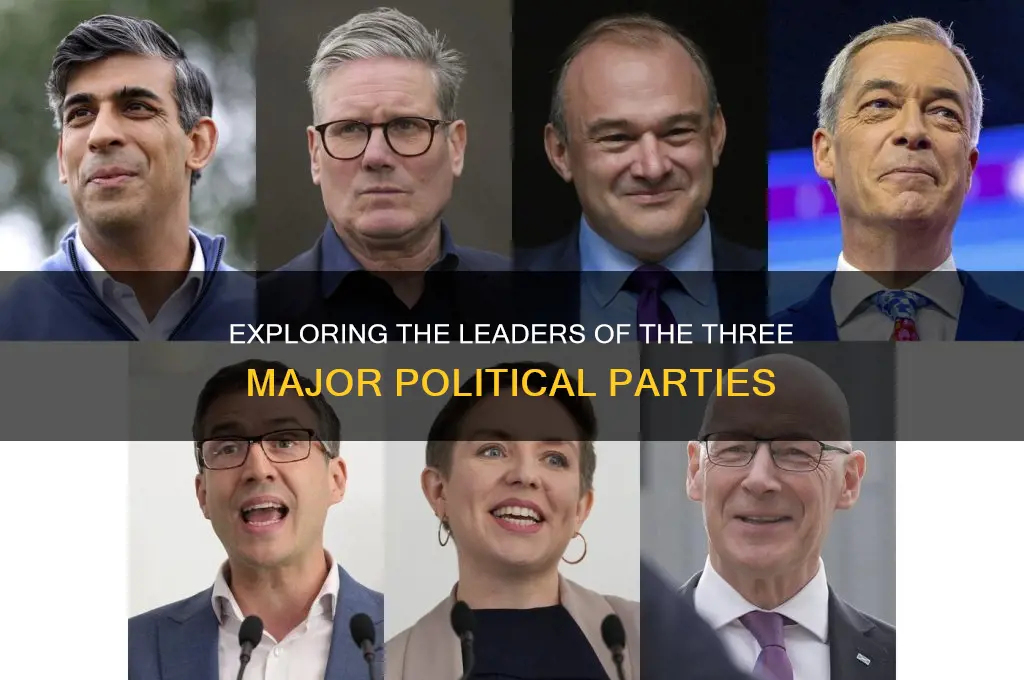 what are the 3 main political parties and their leaders