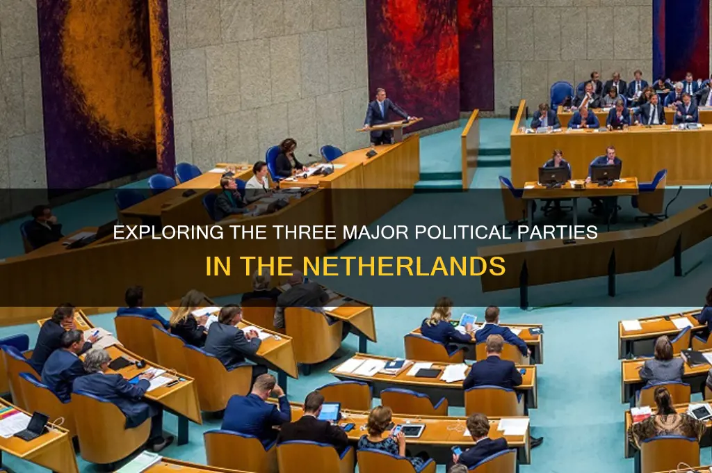 what are the 3 main political parties in nl