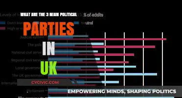 Exploring the UK's Three Major Political Parties and Their Influence