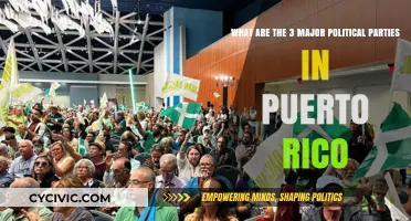 Exploring Puerto Rico's Political Landscape: The Three Major Parties