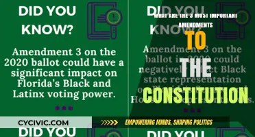 The Constitution's Core: Top Amendments