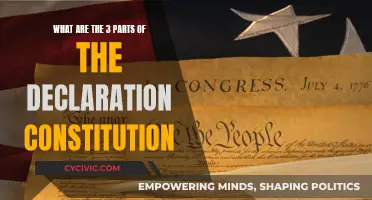 Declaration Constitution: Understanding Its Three Key Components