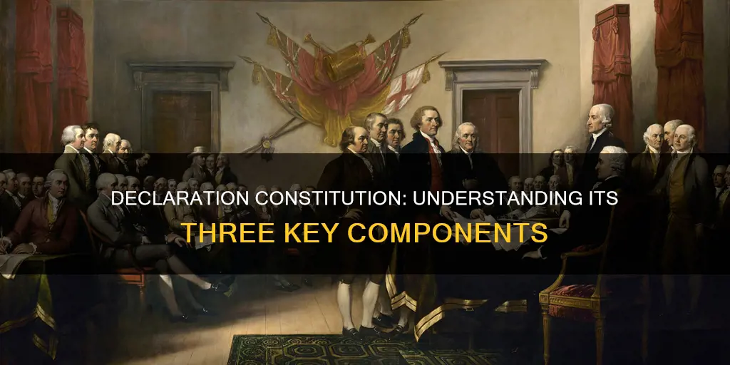 what are the 3 parts of the declaration constitution