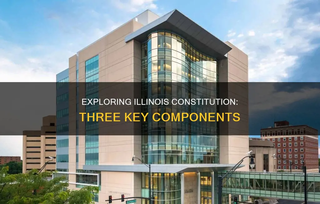 what are the 3 parts of the illinois constitution