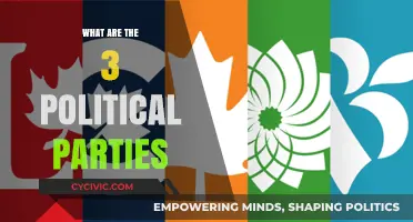 Understanding the Three Major Political Parties and Their Influence