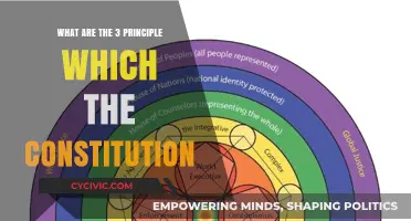 Foundational Principles of the Constitution