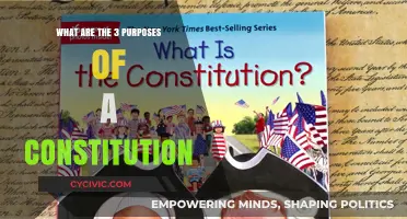 Core Functions of a Constitution