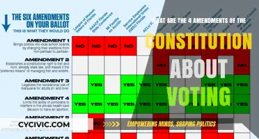 Voting Rights: Constitutional Amendments Explained