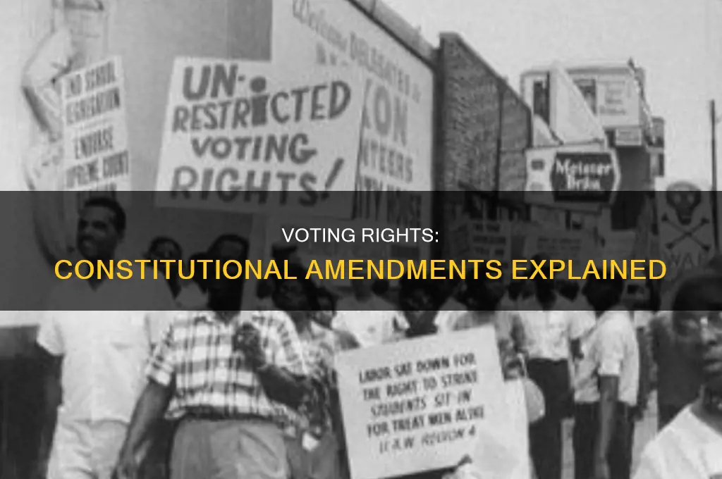 what are the 4 amendments of the constitution about voting