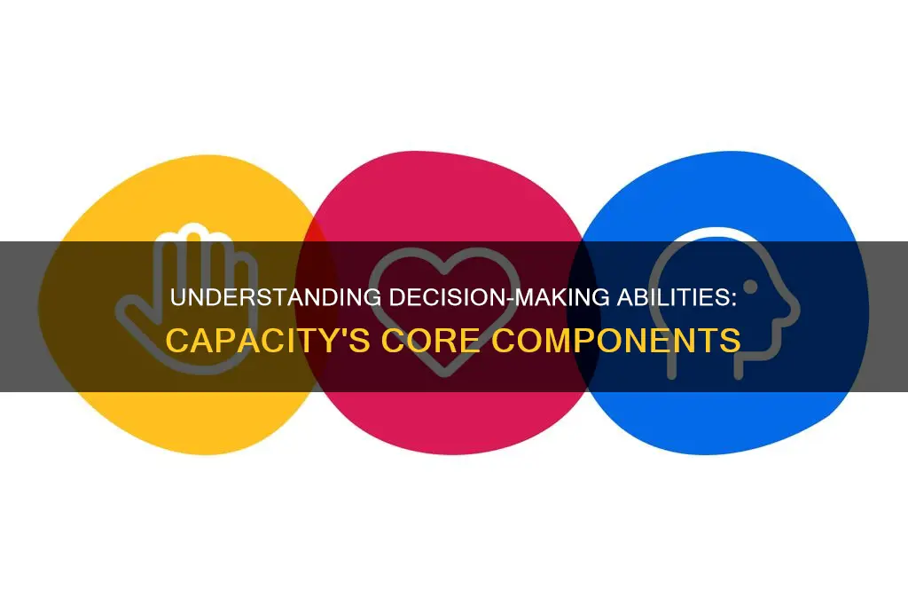 what are the 4 decision making abilities that constitute capacity
