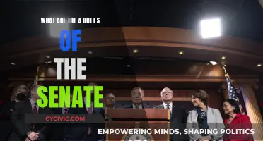 Senate's Core Duties: Understanding the Four Responsibilities