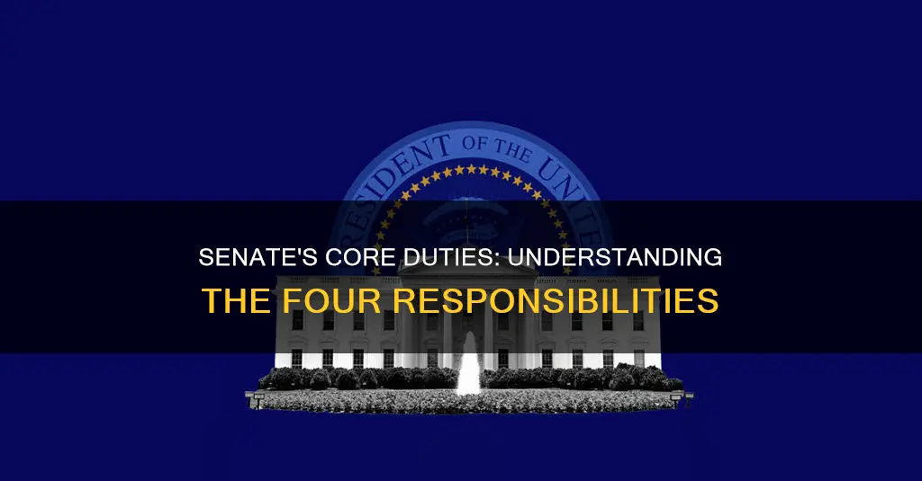 what are the 4 duties of the senate