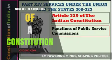 Exploring the Core Functions of a Constitution