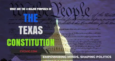 Texas Constitution: Four Key Purposes and Their Functions