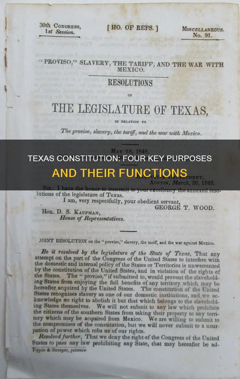 what are the 4 major purposes of the texas constitution