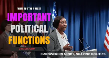 Exploring the Core Political Functions: A Comprehensive Guide