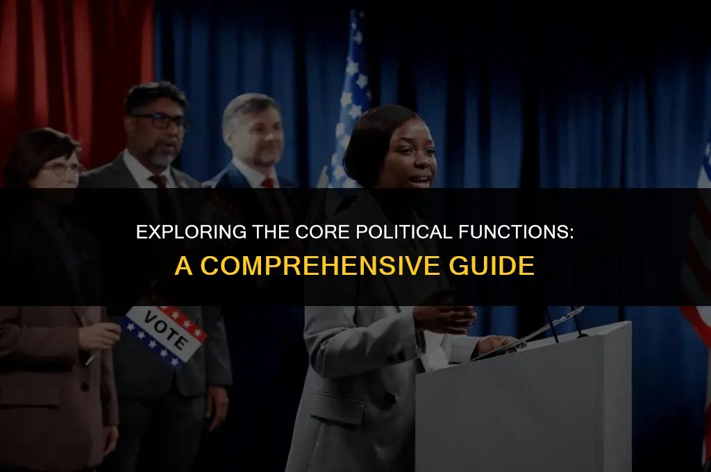 what are the 4 most important political functions