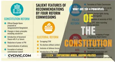 The Constitution's Core Principles Explained